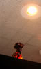 Puppet Shows