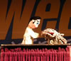 Puppet Shows